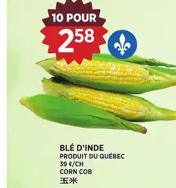 Kim Phat CORN COB offer