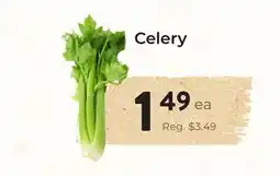 Marche Leo's Celery offer
