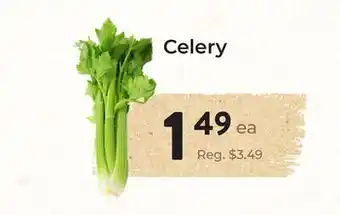 Marche Leo's Celery offer