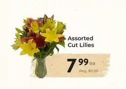 Marche Leo's Assorted Cut Lilies offer