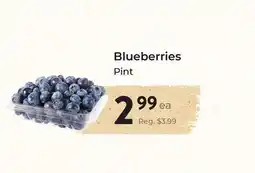 Marche Leo's Blueberries offer