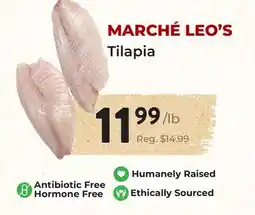 Marche Leo's MARCHÉ LEO'S Tilapia offer