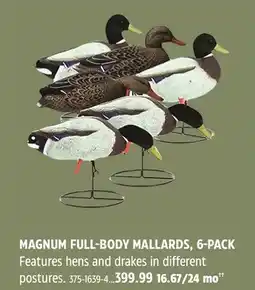 Canadian Tire BIGROCK MAGNUM FULL-BODY MALLARDS, 6-PACK offer