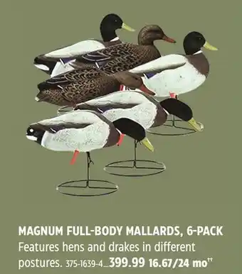 Canadian Tire BIGROCK MAGNUM FULL-BODY MALLARDS, 6-PACK offer