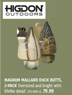 Canadian Tire Bigrock MAGNUM MALLARD DUCK BUTTS, 2-PACK offer