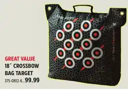 Canadian Tire Bigrock 18˝ CROSSBOW BAG TARGET offer