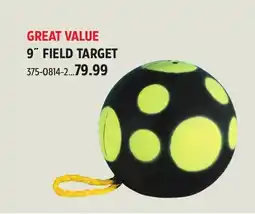 Canadian Tire Bigrock 9˝ FIELD TARGET offer