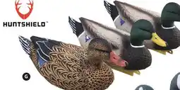 Canadian Tire Huntshield MALLARD DECOYS 3-PACK offer