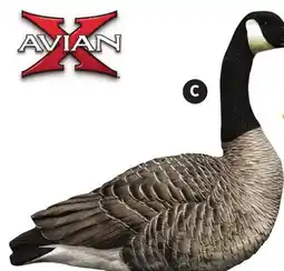 Canadian Tire AVIAN X TOPFLIGHT HONKER DECOYS, 6-PACK offer
