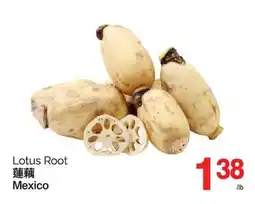 T&T Supermarket LOTUS ROOT offer