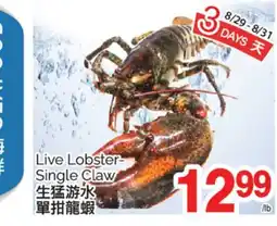 T&T Supermarket LIVE LOBSTER-SINGLE CLAW offer