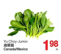 T&T Supermarket YU CHOY-JUNIOR offer