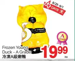 T&T Supermarket FROZEN YOUNG YOUNG DUCK A GRADE offer