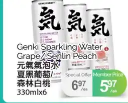 T&T Supermarket GENKI SPARKLING WATER GRAPE/SENLIN PEACH, 330mlx6 offer