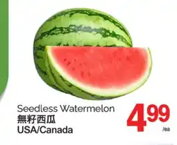 T&T Supermarket SEEDLESS WATERMELON offer