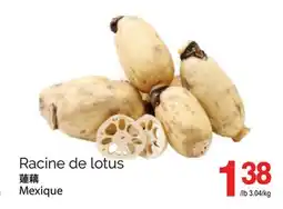 T&T Supermarket RACINE DE LOTUS offer