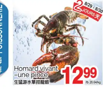 T&T Supermarket HOMARD VIVANT -UNE PINCE offer