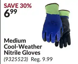 Princess Auto Medium Cool-Weather Nitrile Gloves offer