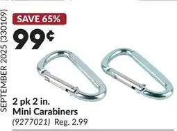Princess Auto 2 pk 2 in. Mini Carabiners offer