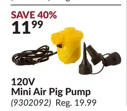 Princess Auto 120V Mini Air Pig Pump offer