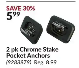 Princess Auto 2 pk Chrome Stake Pocket Anchors offer