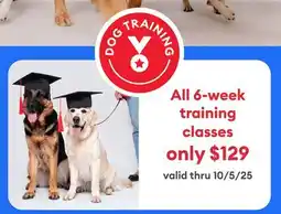 Petsmart Services - Training Offer offer