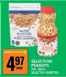 Food Basics SELECTION PEANUTS offer