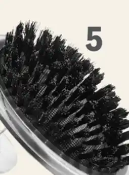 Petvalu Essentials Palm Bristle Brush with Handle offer
