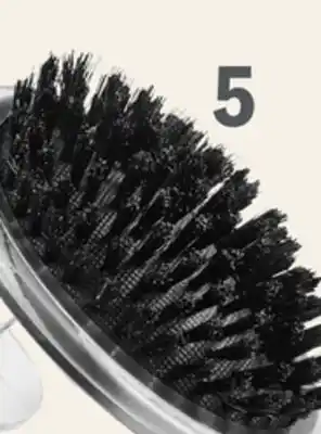Petvalu Essentials Palm Bristle Brush with Handle offer