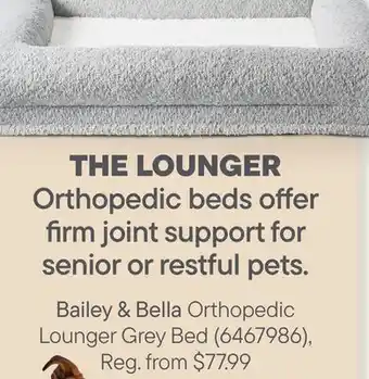 Petvalu Bailey & Bella Orthopedic Lounger Grey Bed offer