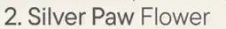 Petvalu Silver Paw Flower Headpiece offer