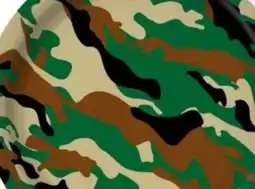 Party City Camo Print Paper Plates, 8-pk offer