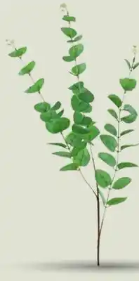 Party City Eucalyptus Green Spray, Indoor Decoration, Plastic, 33-in, 3-ct offer