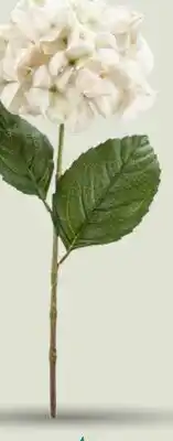 Party City Hydrangea Cream Stem, Indoor Decoration, Plastic, 27.5-in offer