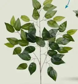 Party City Ficus Two Toned Green Spray offer