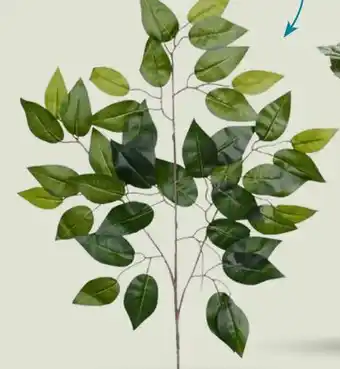 Party City Ficus Two Toned Green Spray offer