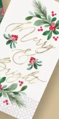 Party City Christmas 'Merry and Bright' Napkins, 16-ct offer