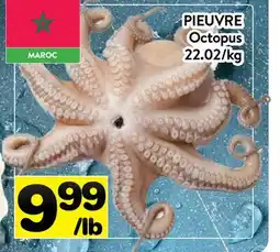 Supermarché PA PIEUVRE | Octopus offer