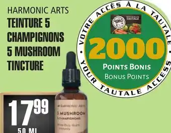 Marches Tau TEINTURE 5 CHAMPIGNONS HARMONIC ARTS offer