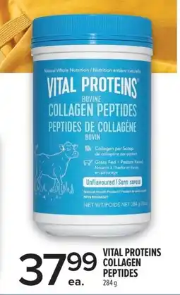 Metro Vital proteins collagen peptides offer
