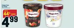 Marché Adonis Haägen Dazs ice cream offer