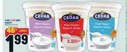 Marché Adonis Cedar plain yogourt offer