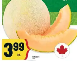 Marché Adonis Cantaloupe offer