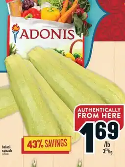 Marché Adonis Baladi squash offer