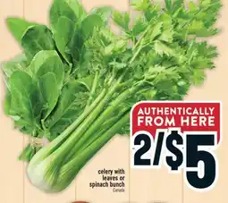 Marché Adonis Celery with leaves or spinach bunch offer
