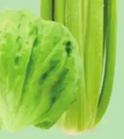Giant Tiger iceberg lettuce offer