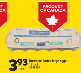 Giant Tiger Burnbrae Farms large eggs offer