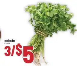Marché Adonis Coriander offer