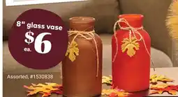 Giant Tiger 8 glass vase offer
