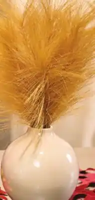 Giant Tiger 11 pampas grass in glass vase offer